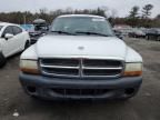 2003 Dodge Dakota Quad Sport