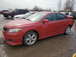 Salvage cars for sale from Copart London, ON: 2010 Toyota Camry Base