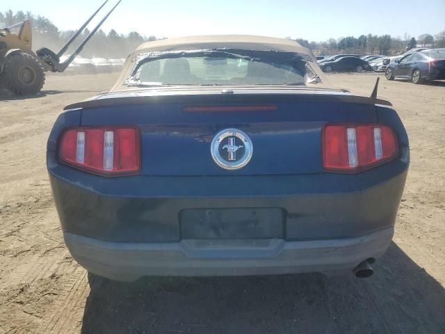 2010 Ford Mustang