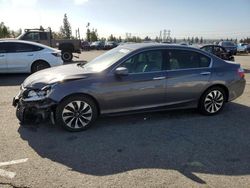 Salvage cars for sale from Copart Rancho Cucamonga, CA: 2015 Honda Accord Touring Hybrid