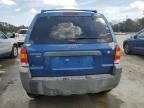 2007 Ford Escape XLT