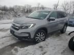 2019 Honda Pilot EXL