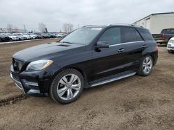 Mercedes-Benz salvage cars for sale: 2014 Mercedes-Benz ML 350 Bluetec