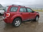 2010 Ford Escape XLS