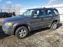 4 X 4 a la venta en subasta: 2006 Ford Escape XLS