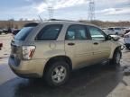 2007 Chevrolet Equinox LS