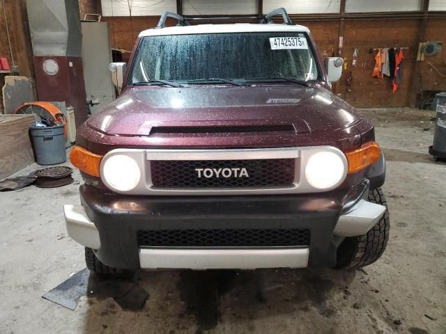 2007 Toyota FJ Cruiser