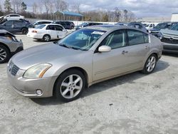 Nissan salvage cars for sale: 2005 Nissan Maxima SE