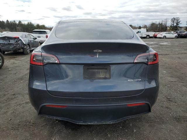 2020 Tesla Model Y