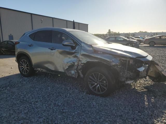 2024 Lexus NX 350H Base