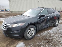 Salvage cars for sale at Rocky View County, AB auction: 2012 Honda Crosstour EXL