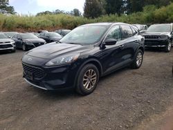 Ford salvage cars for sale: 2022 Ford Escape SE