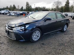 Salvage cars for sale at Graham, WA auction: 2017 Toyota Camry LE