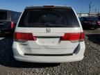 2008 Honda Odyssey EXL