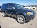 2006 Ford Escape Limited