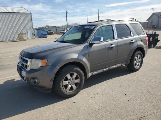 2011 Ford Escape Limited