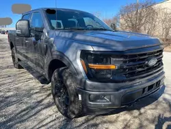 Salvage cars for sale at Dyer, IN auction: 2024 Ford F150 XLT