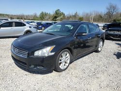 Nissan salvage cars for sale: 2010 Nissan Maxima S