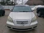 2008 Honda Odyssey EX