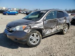 Carros salvage sin ofertas aún a la venta en subasta: 2010 Honda CR-V EXL