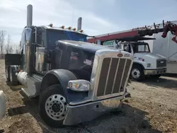 Peterbilt salvage cars for sale: 2024 Peterbilt 389 Semi Truck