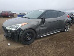 Salvage cars for sale at Brighton, CO auction: 2013 Hyundai Veloster Turbo