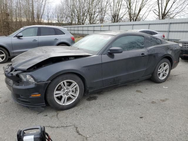 2013 Ford Mustang