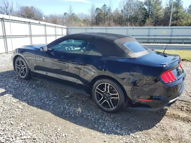 2019 Ford Mustang