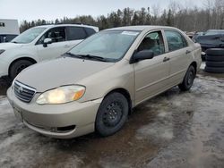 Salvage cars for sale at Cookstown, ON auction: 2005 Toyota Corolla CE