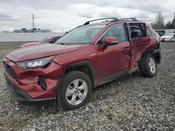 Salvage cars for sale at auction: 2019 Toyota Rav4 LE