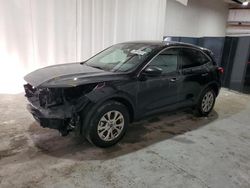 Salvage cars for sale at New Orleans, LA auction: 2024 Ford Escape Active