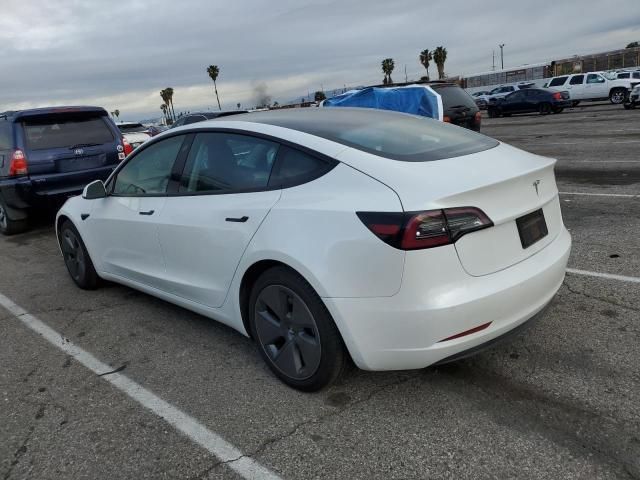 2021 Tesla Model 3