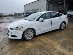 Salvage cars for sale at American Canyon, CA auction: 2016 Ford Fusion SE Hybrid