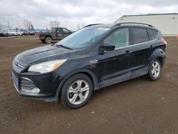 Salvage cars for sale at Rocky View County, AB auction: 2016 Ford Escape SE