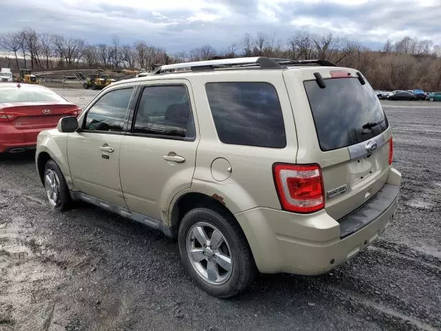 2011 Ford Escape Limited