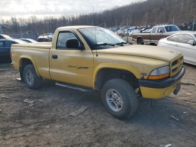 1999 Dodge Dakota