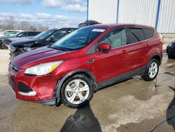 2013 Ford Escape SE en venta en Lawrenceburg, KY