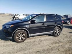 Salvage cars for sale at Antelope, CA auction: 2016 Toyota Rav4 XLE