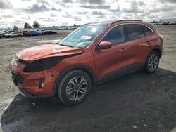 Ford salvage cars for sale: 2020 Ford Escape SEL