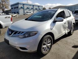 Salvage cars for sale at Albuquerque, NM auction: 2013 Nissan Murano S