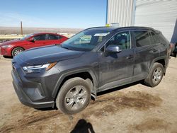 Salvage cars for sale at Albuquerque, NM auction: 2024 Toyota Rav4 XLE