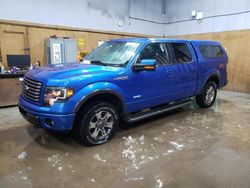 Vehiculos salvage en venta de Copart Kincheloe, MI: 2012 Ford F150 Supercrew