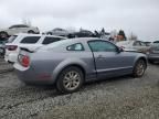 2006 Ford Mustang