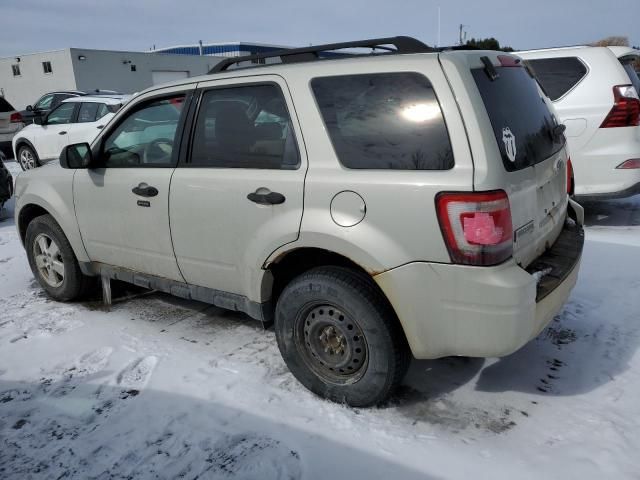 2009 Ford Escape XLT