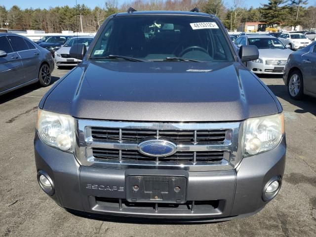 2009 Ford Escape XLT