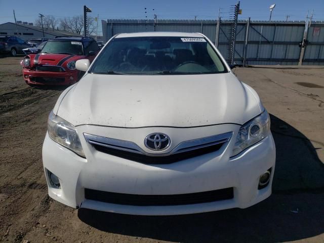 2010 Toyota Camry Hybrid