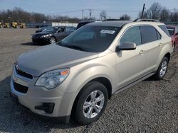 Salvage cars for sale at Hillsborough, NJ auction: 2011 Chevrolet Equinox LT