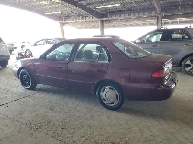 1998 Toyota Corolla VE