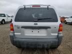 2005 Ford Escape XLT