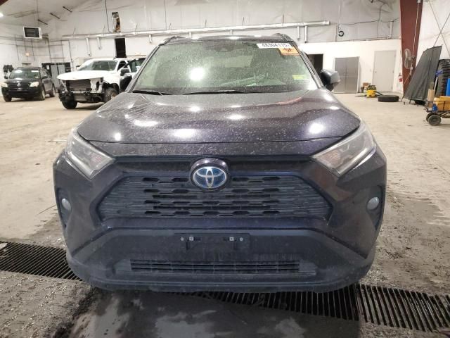 2019 Toyota Rav4 XLE